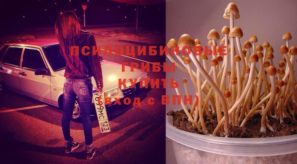 амф Армянск