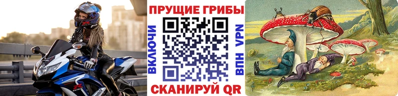 Псилоцибиновые грибы Psilocybe  продажа наркотиков  Людиново 